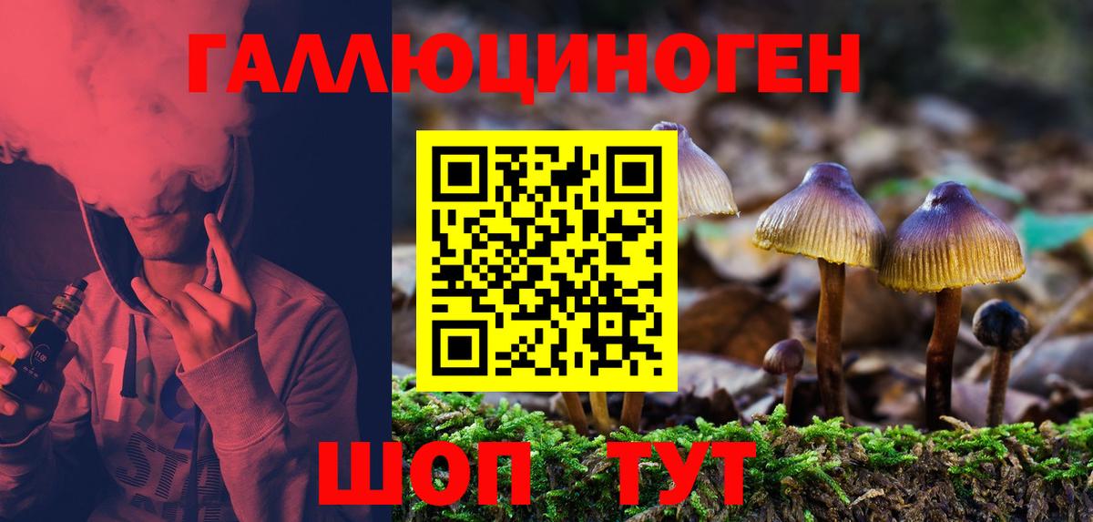 Галлюциногенные грибы прущие грибы  Вход с VPN  магазин продажи   Псилоцибиновые грибы MAGIC MUSHROOMS  Светлоград 